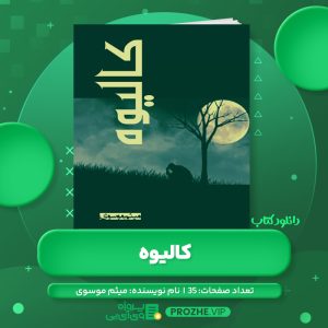 دانلود کتاب کالیوه میثم موسوی PDF